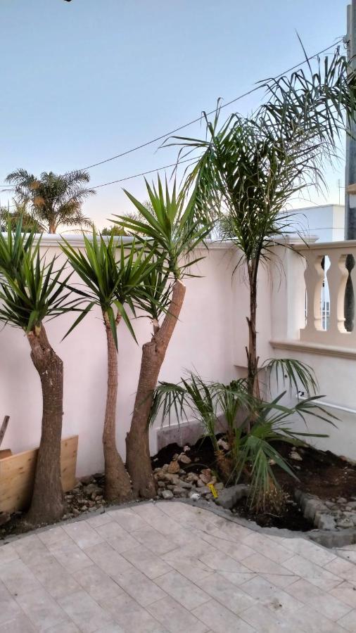 فيلا Casa Antonio E Nicoletta بورتو سيساريو المظهر الخارجي الصورة