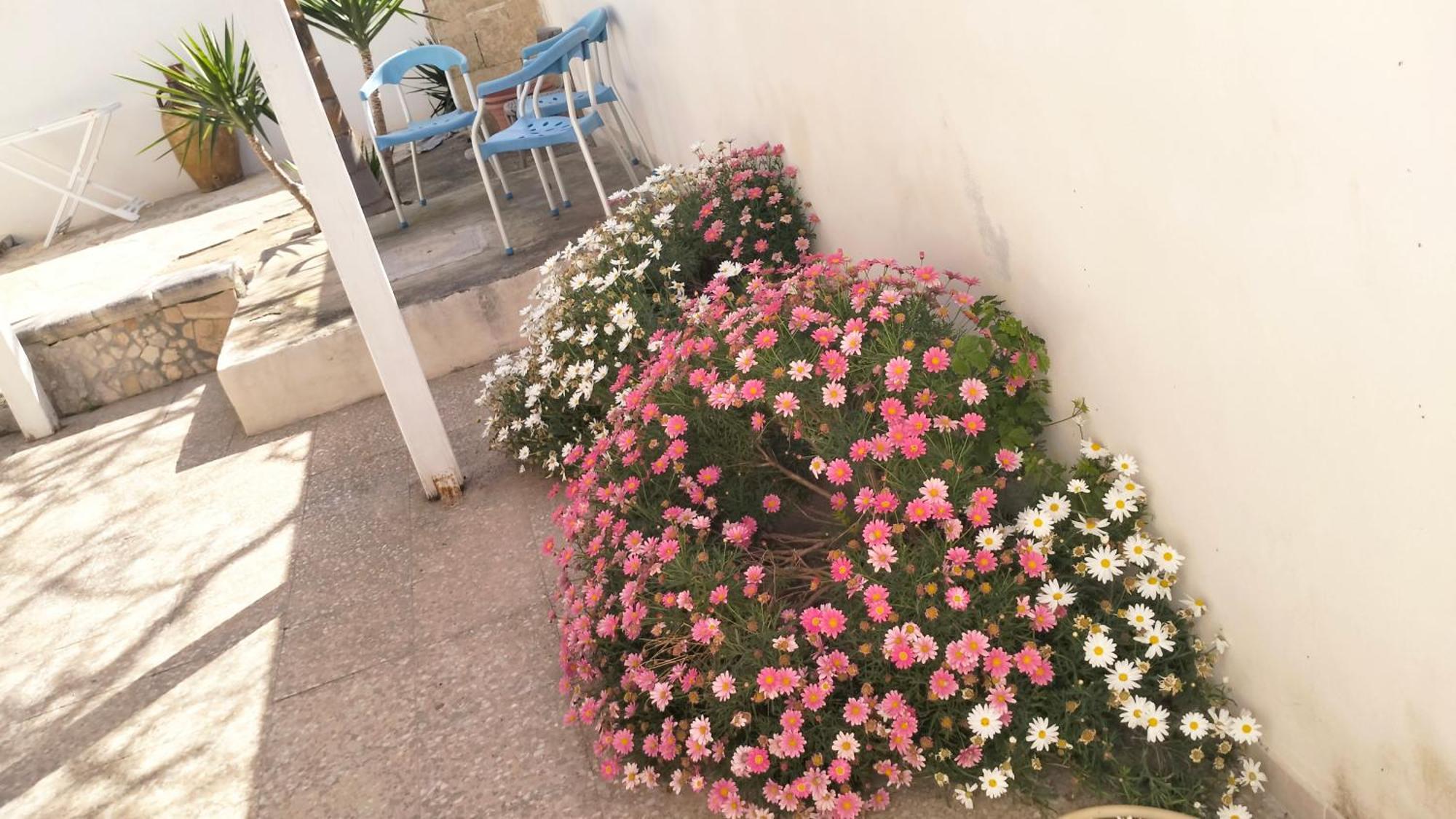 فيلا Casa Antonio E Nicoletta بورتو سيساريو المظهر الخارجي الصورة